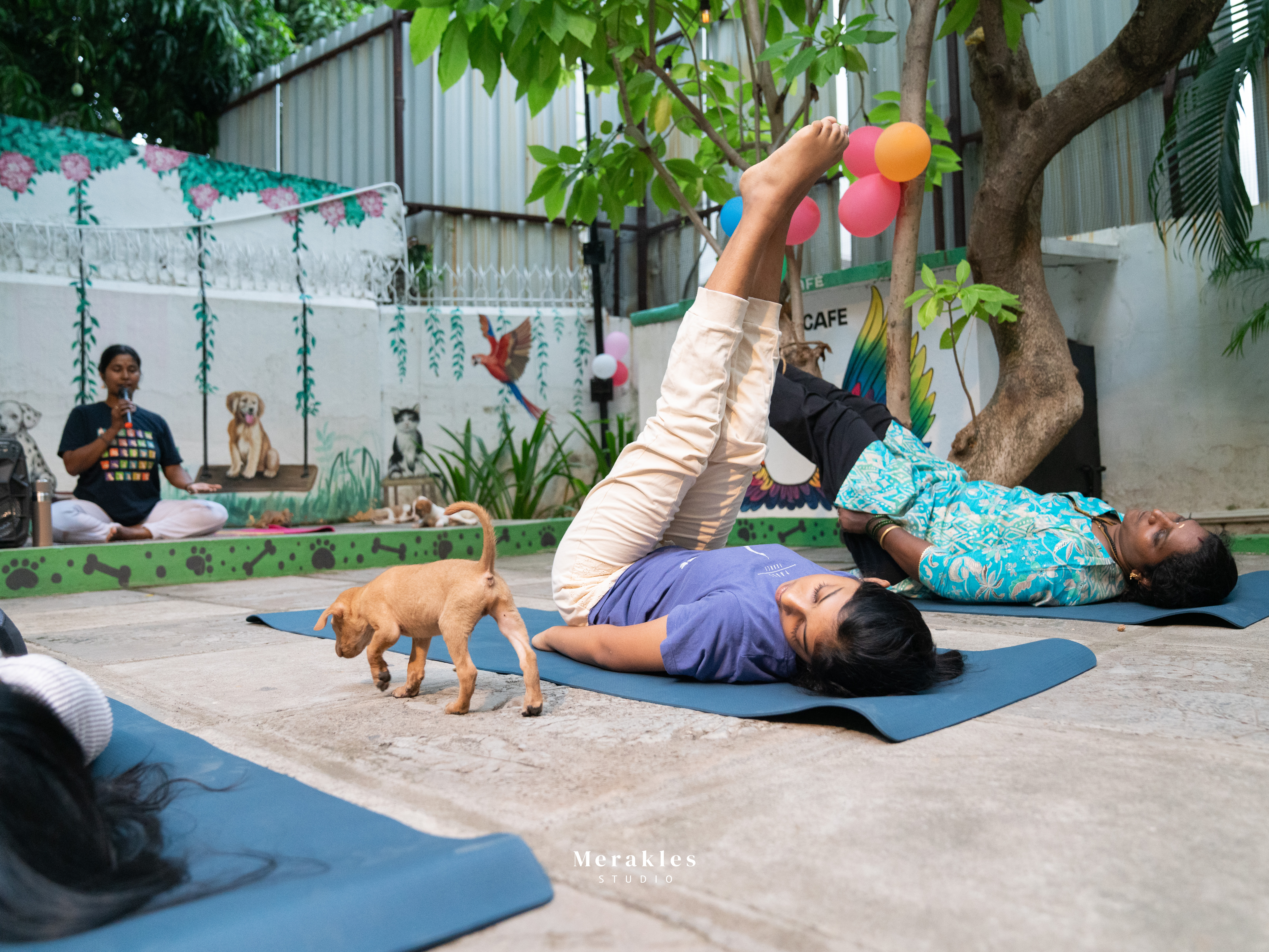 Puppy yoga — International Yoga Day